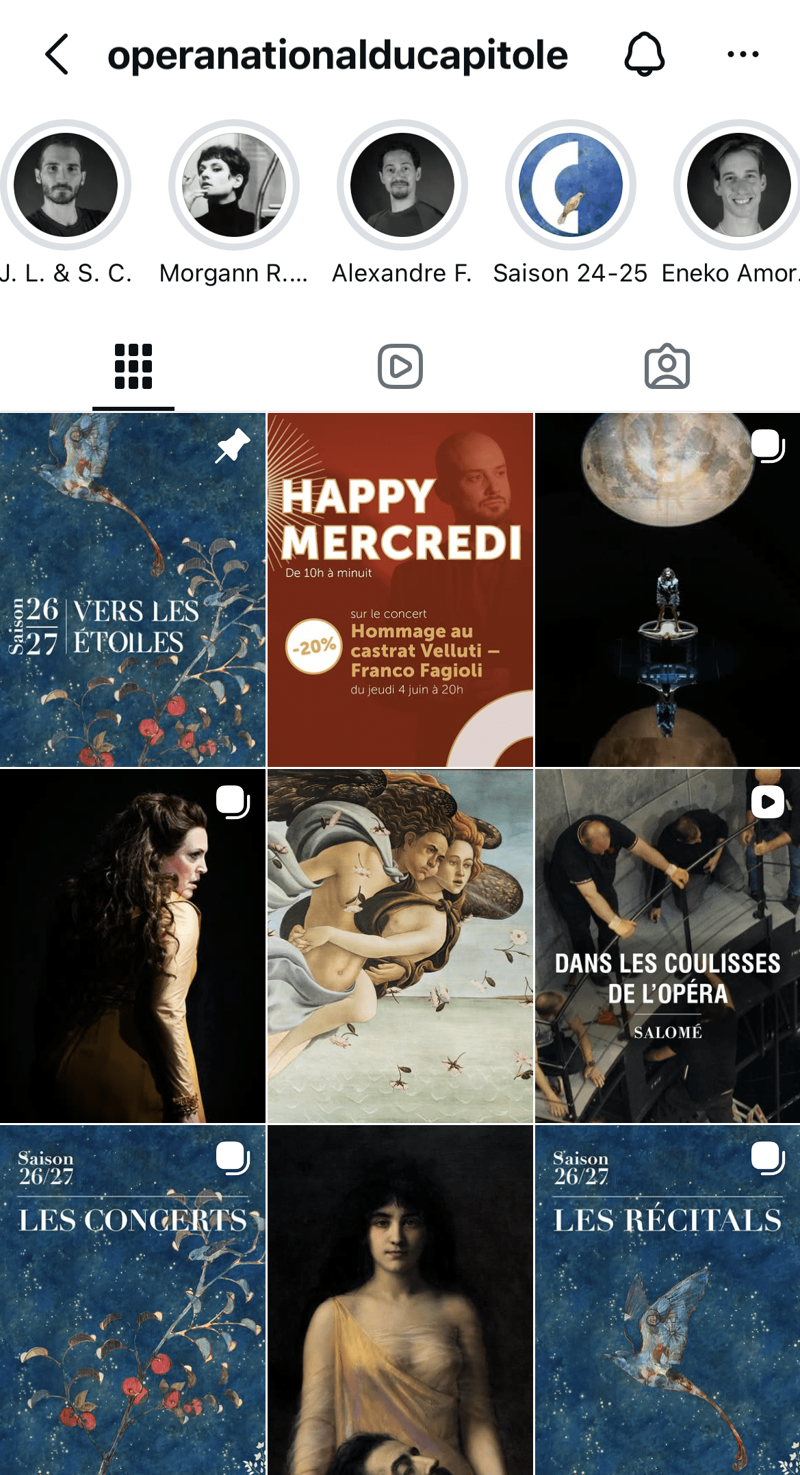Flux Instagram
