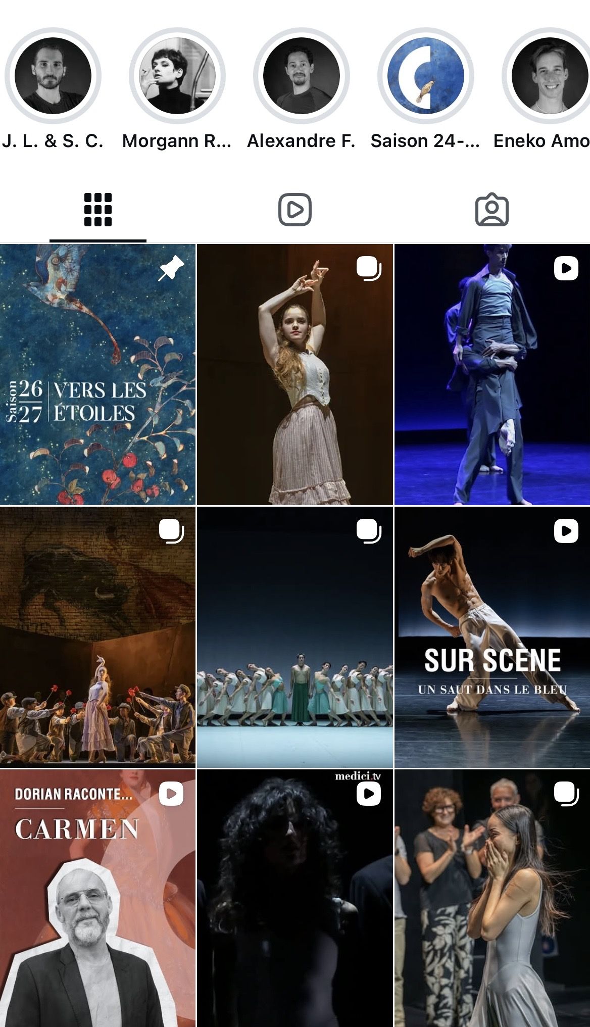 Flux Instagram