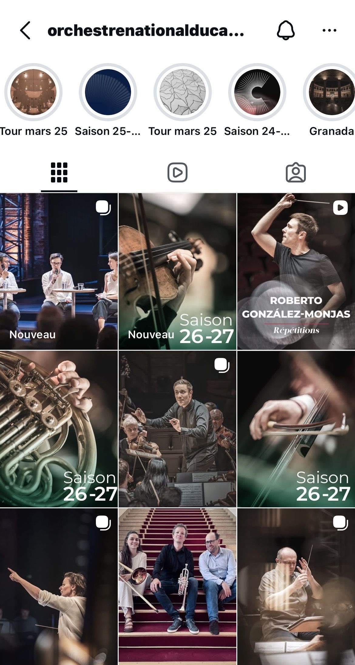 Flux Instagram