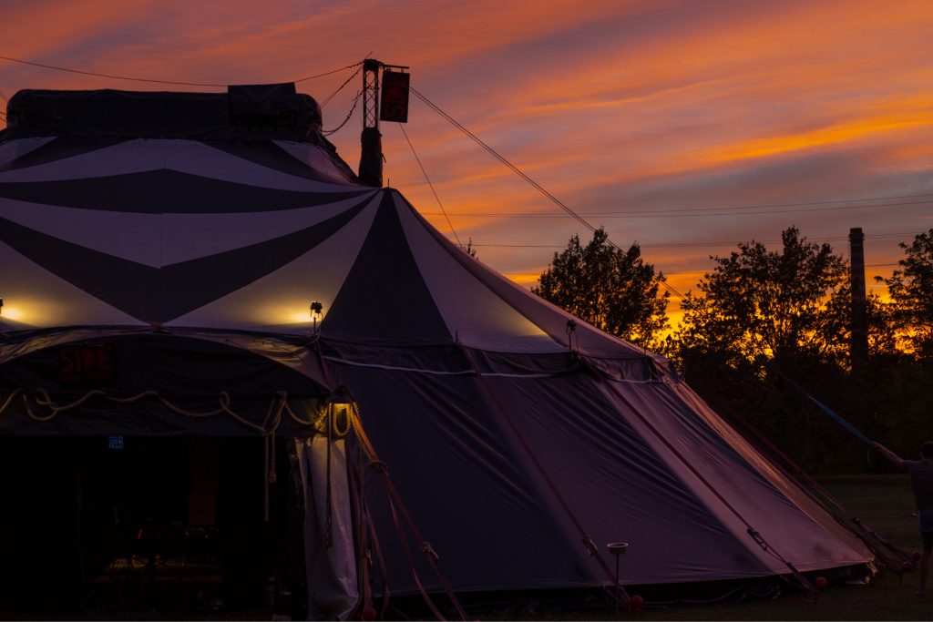 Carte blanche My!Laika