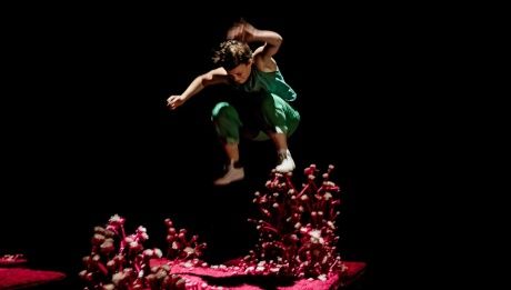 le problème avec le rose