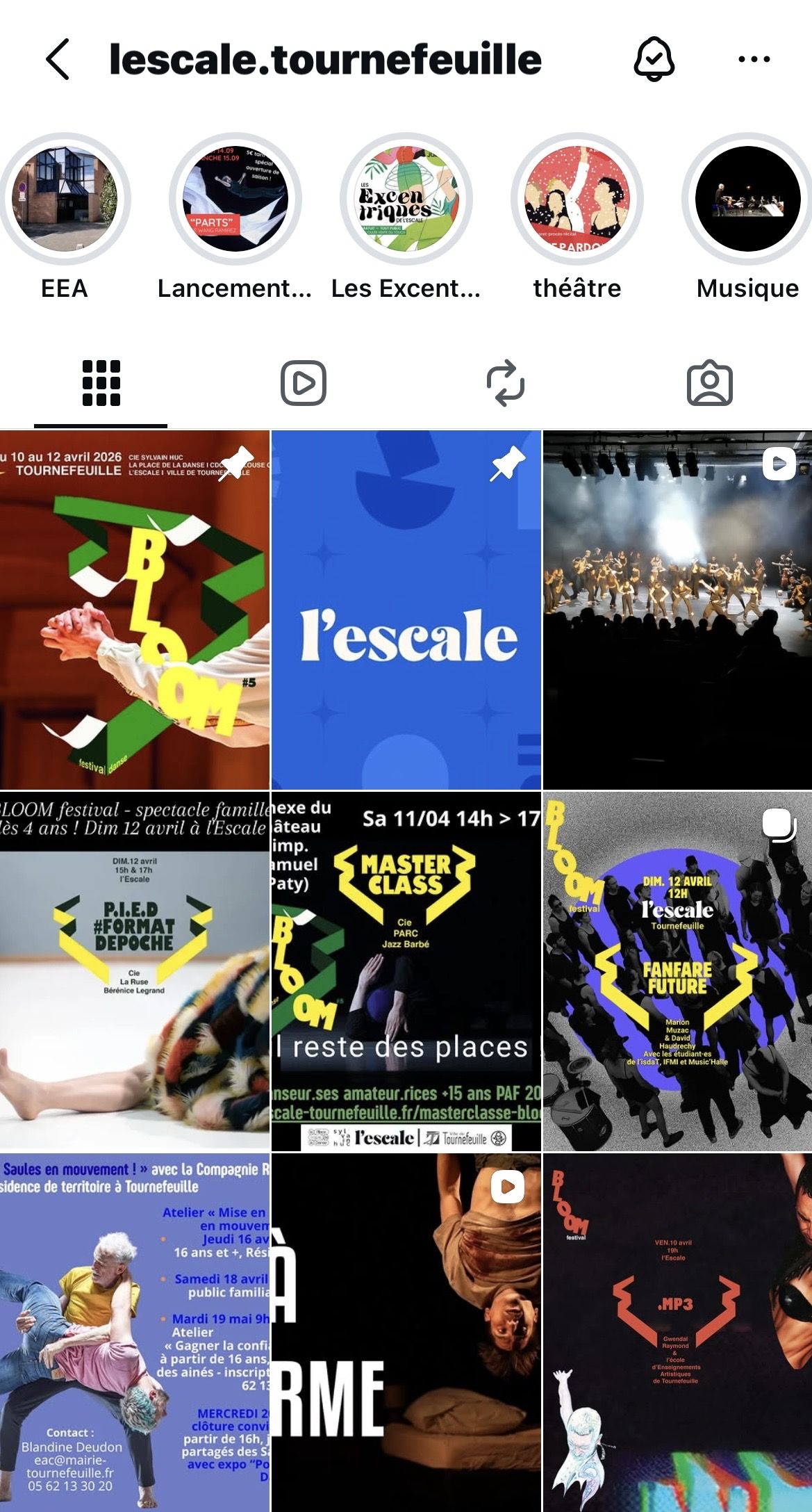 Flux Instagram