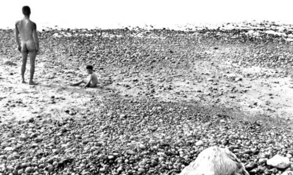 théoremes pierre maillet