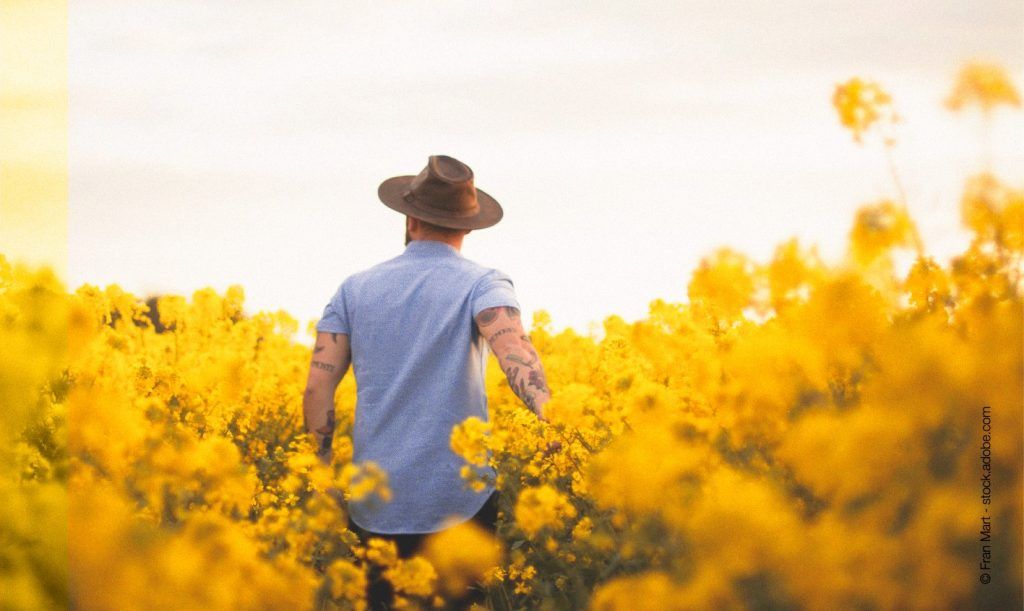 le marathon des mots