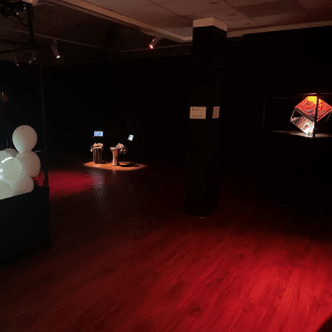 Les Rêveries Curieuses d'Odyssud, l'exposition.  ©LucasLaberenne