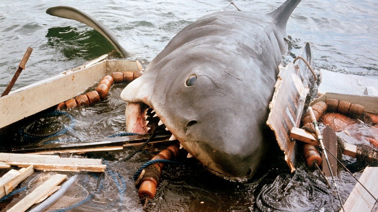 Le requin du film Les Dents de la mer