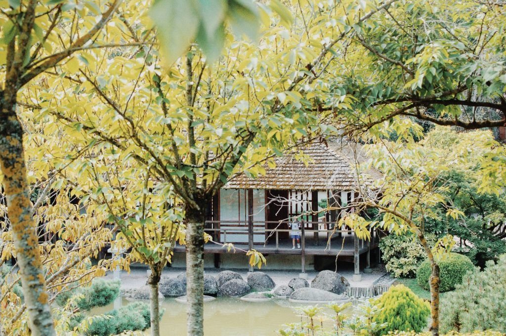 pavillon du thé / Tokyo Market