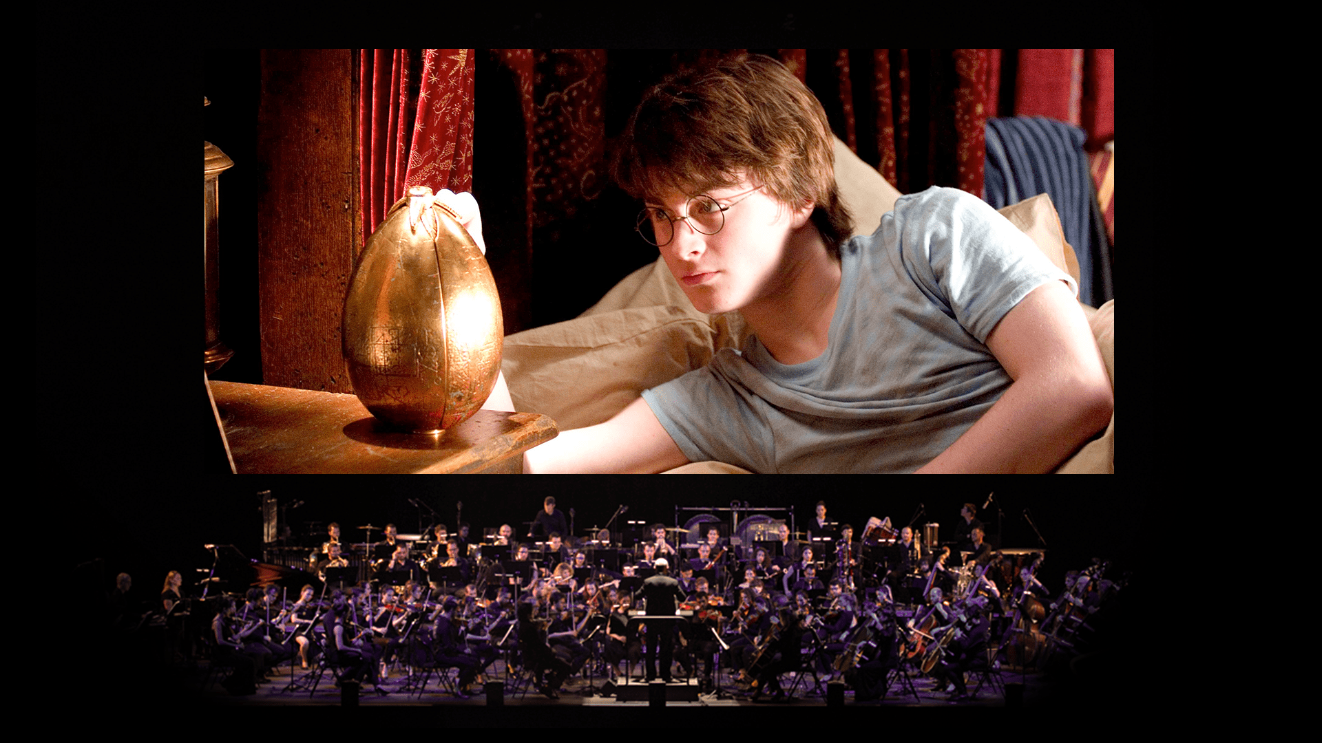 Harry Potter et La Coupe de Feu en ciné-concert • Zénith Toulouse
