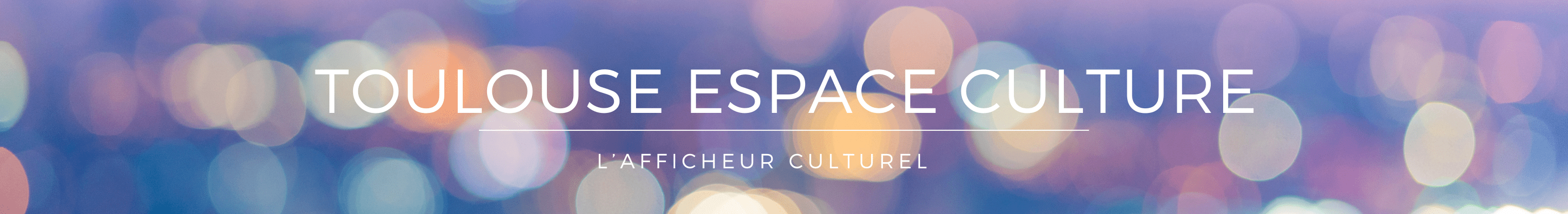 Toulouse Espace Culture – Art du Cirque