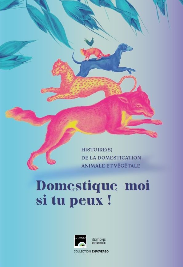 Domestique-moi si tu peux