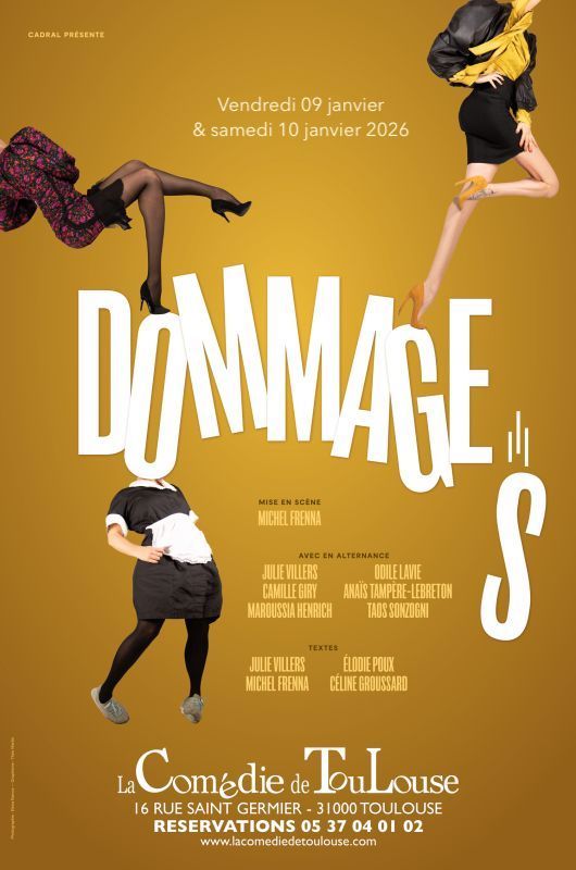 La Comédie de Toulouse - Dommages