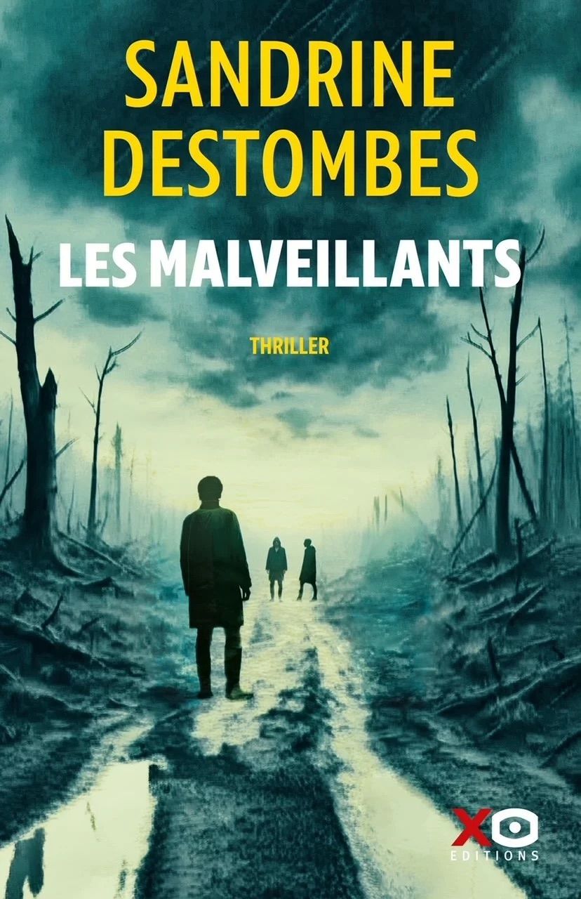 Les Malveillants de Sandrine Destombes