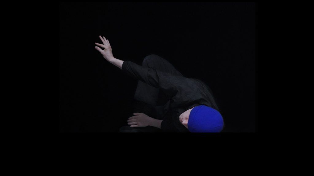 jimmy bloom festival