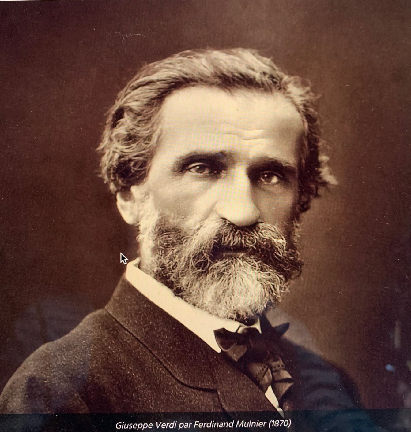 Giuseppe Verdi par Ferdinand Mulnier (1870)